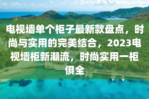 電視墻單個柜子最新款盤點，時尚與實用的完美結(jié)合，2023電視墻柜新潮流，時尚實用一柜俱全