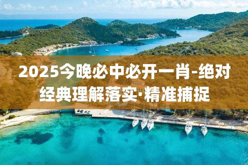 2025今晚必中必開一肖-絕對(duì)經(jīng)典理解落實(shí)·精準(zhǔn)捕捉