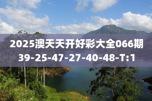 2025澳天天開好彩大全066期39-25-47-27-40-48-T:1
