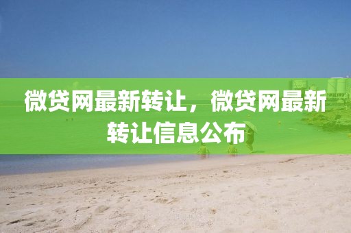 微貸網(wǎng)最新轉(zhuǎn)讓，微貸網(wǎng)最新轉(zhuǎn)讓信息公布