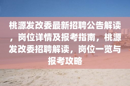 桃源發(fā)改委最新招聘公告解讀，崗位詳情及報(bào)考指南，桃源發(fā)改委招聘解讀，崗位一覽與報(bào)考攻略