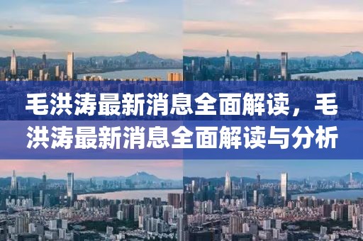 毛洪濤最新消息全面解讀，毛洪濤最新消息全面解讀與分析