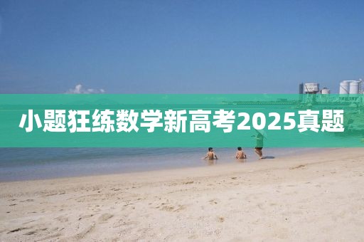 小題狂練數(shù)學(xué)新高考2025真題