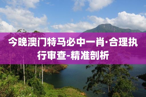 今晚澳門特馬必中一肖·合理執(zhí)行審查-精準(zhǔn)剖析