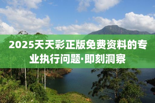 2025天天彩正版免費資料的專業(yè)執(zhí)行問題·即刻洞察