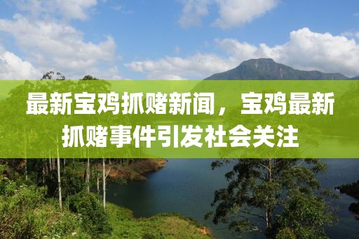 最新寶雞抓賭新聞，寶雞最新抓賭事件引發(fā)社會(huì)關(guān)注