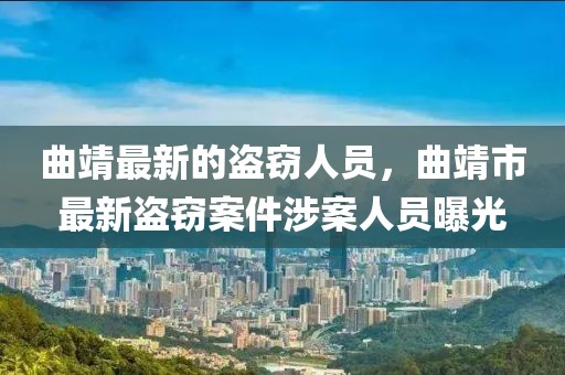 曲靖最新的盜竊人員，曲靖市最新盜竊案件涉案人員曝光