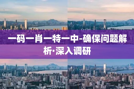 一碼一肖一特一中-確保問題解析·深入調(diào)研