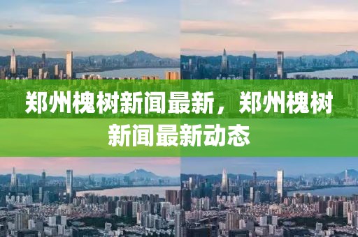 鄭州槐樹(shù)新聞最新，鄭州槐樹(shù)新聞最新動(dòng)態(tài)