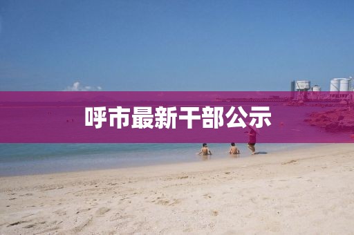 呼市最新干部公示