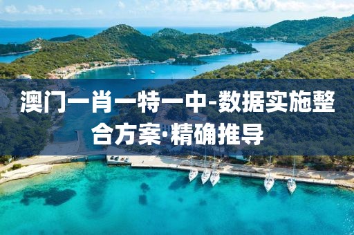 澳門一肖一特一中-數(shù)據(jù)實施整合方案·精確推導(dǎo)