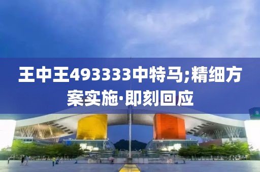 王中王493333中特馬;精細方案實施·即刻回應(yīng)