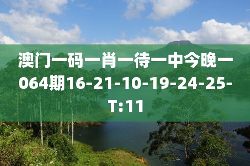 澳門一碼一肖一待一中今晚一064期16-21-10-19-24-25-T:11