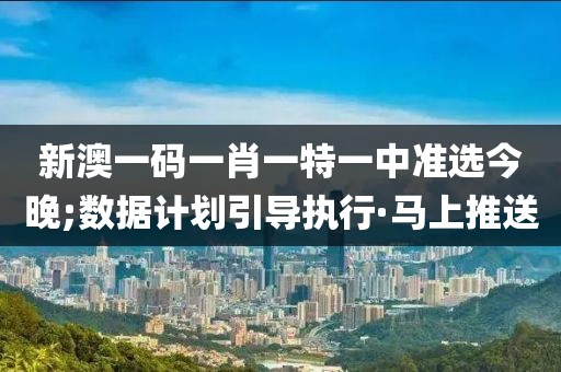 新澳一碼一肖一特一中準(zhǔn)選今晚;數(shù)據(jù)計劃引導(dǎo)執(zhí)行·馬上推送