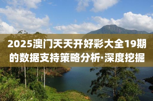 2025澳門天天開好彩大全19期的數(shù)據(jù)支持策略分析·深度挖掘