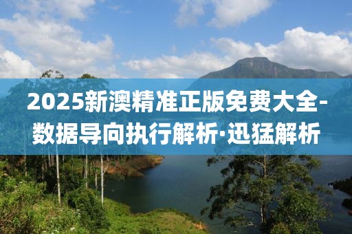 2025新澳精準(zhǔn)正版免費(fèi)大全-數(shù)據(jù)導(dǎo)向執(zhí)行解析·迅猛解析