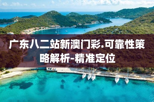 廣東八二站新澳門彩.可靠性策略解析-精準定位