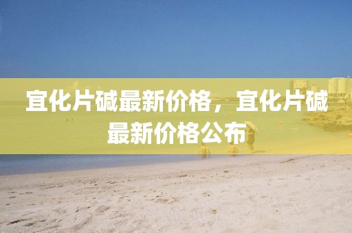 宜化片堿最新價格，宜化片堿最新價格公布