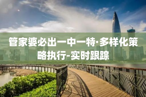 管家婆必出一中一特·多樣化策略執(zhí)行-實時跟蹤