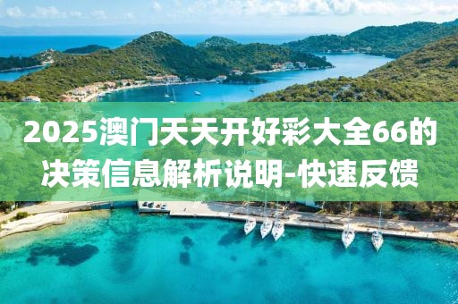 2025澳門天天開好彩大全66的決策信息解析說明-快速反饋