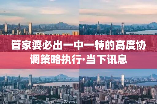 管家婆必出一中一特的高度協(xié)調(diào)策略執(zhí)行·當(dāng)下訊息