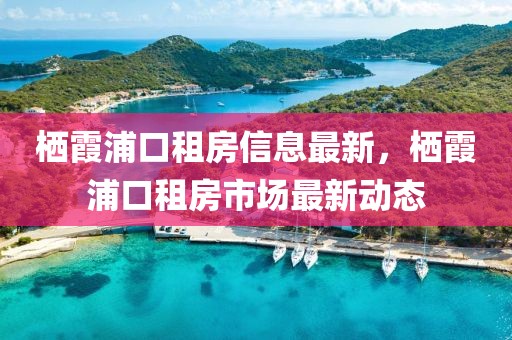 棲霞浦口租房信息最新，棲霞浦口租房市場(chǎng)最新動(dòng)態(tài)
