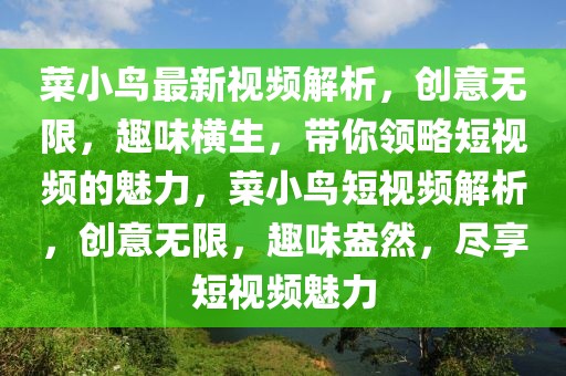 菜小鳥(niǎo)最新視頻解析，創(chuàng)意無(wú)限，趣味橫生，帶你領(lǐng)略短視頻的魅力，菜小鳥(niǎo)短視頻解析，創(chuàng)意無(wú)限，趣味盎然，盡享短視頻魅力