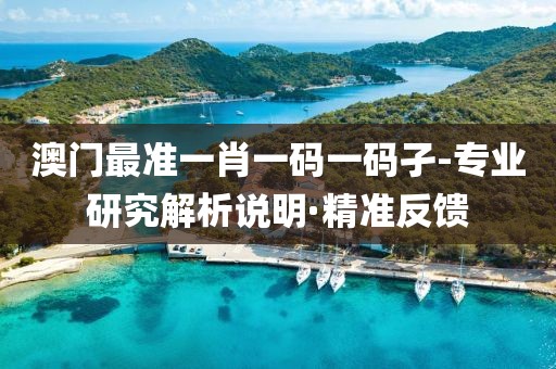 澳門最準一肖一碼一碼孑-專業(yè)研究解析說明·精準反饋