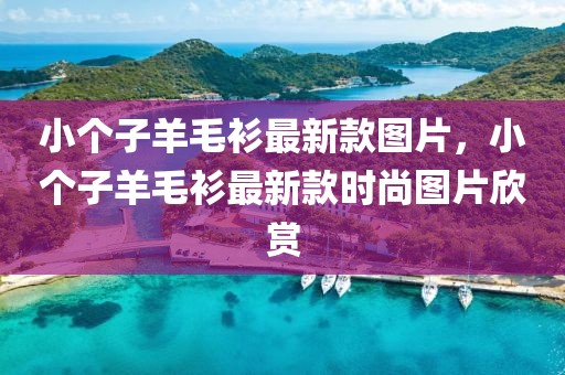 小個(gè)子羊毛衫最新款圖片，小個(gè)子羊毛衫最新款時(shí)尚圖片欣賞