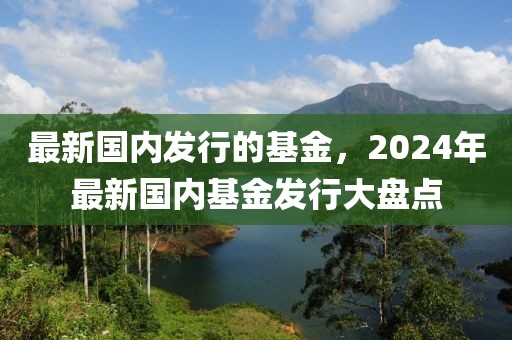 最新國內(nèi)發(fā)行的基金，2024年最新國內(nèi)基金發(fā)行大盤點