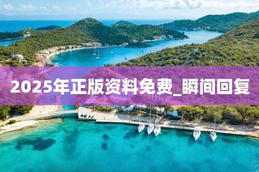 2025年正版資料免費(fèi)_瞬間回復(fù)