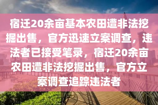 宿遷20余畝基本農(nóng)田遭非法挖掘出售，官方迅速立案調(diào)查，違法者已接受筆錄，宿遷20余畝農(nóng)田遭非法挖掘出售，官方立案調(diào)查追蹤違法者