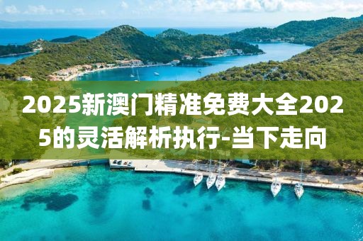 2025新澳門精準免費大全2025的靈活解析執(zhí)行-當下走向