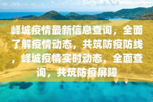 嶧城疫情最新信息查詢，全面了解疫情動態(tài)，共筑防疫防線，嶧城疫情實(shí)時動態(tài)，全面查詢，共筑防疫屏障