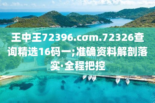 王中王72396.cσm.72326查詢(xún)精選16碼一;準(zhǔn)確資料解剖落實(shí)·全程把控
