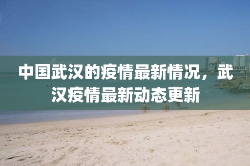 中國武漢的疫情最新情況，武漢疫情最新動態(tài)更新