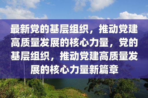 最新黨的基層組織，推動(dòng)黨建高質(zhì)量發(fā)展的核心力量，黨的基層組織，推動(dòng)黨建高質(zhì)量發(fā)展的核心力量新篇章