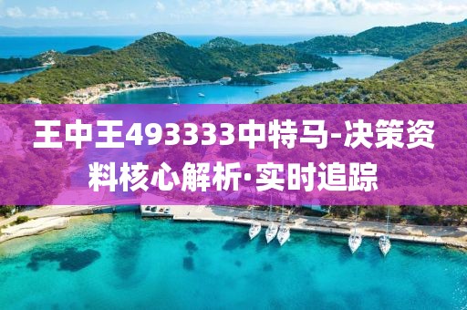 王中王493333中特馬-決策資料核心解析·實時追蹤