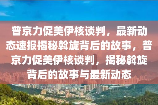 普京力促美伊核談判，最新動態(tài)速報揭秘斡旋背后的故事，普京力促美伊核談判，揭秘斡旋背后的故事與最新動態(tài)