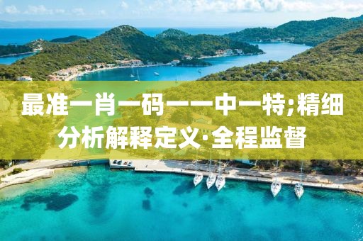 最準(zhǔn)一肖一碼一一中一特;精細(xì)分析解釋定義·全程監(jiān)督