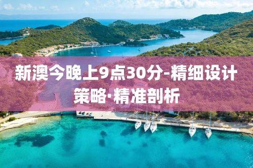 新澳今晚上9點(diǎn)30分-精細(xì)設(shè)計策略·精準(zhǔn)剖析
