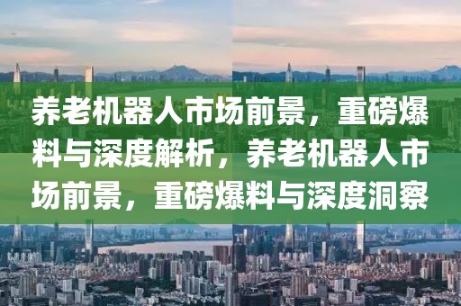 養(yǎng)老機器人市場前景，重磅爆料與深度解析，養(yǎng)老機器人市場前景，重磅爆料與深度洞察