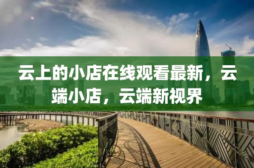 云上的小店在線觀看最新，云端小店，云端新視界