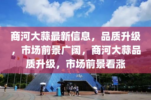 商河大蒜最新信息，品質(zhì)升級，市場前景廣闊，商河大蒜品質(zhì)升級，市場前景看漲