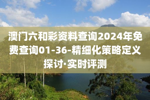 澳門六和彩資料查詢2024年免費查詢01-36-精細化策略定義探討·實時評測