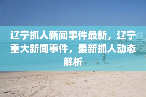 遼寧抓人新聞事件最新，遼寧重大新聞事件，最新抓人動(dòng)態(tài)解析