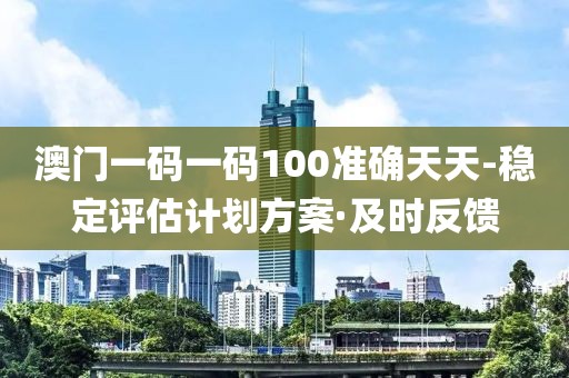 澳門一碼一碼100準確天天-穩(wěn)定評估計劃方案·及時反饋