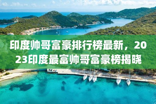 印度帥哥富豪排行榜最新，2023印度最富帥哥富豪榜揭曉