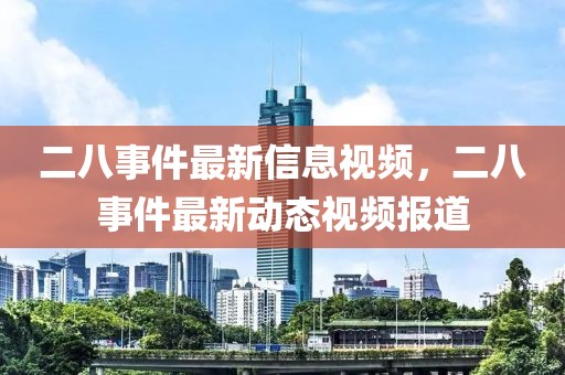 二八事件最新信息視頻，二八事件最新動(dòng)態(tài)視頻報(bào)道