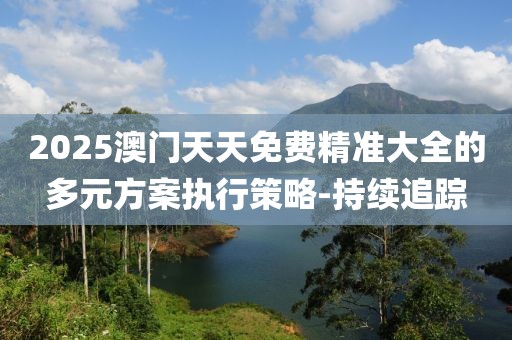 2025澳門天天免費(fèi)精準(zhǔn)大全的多元方案執(zhí)行策略-持續(xù)追蹤